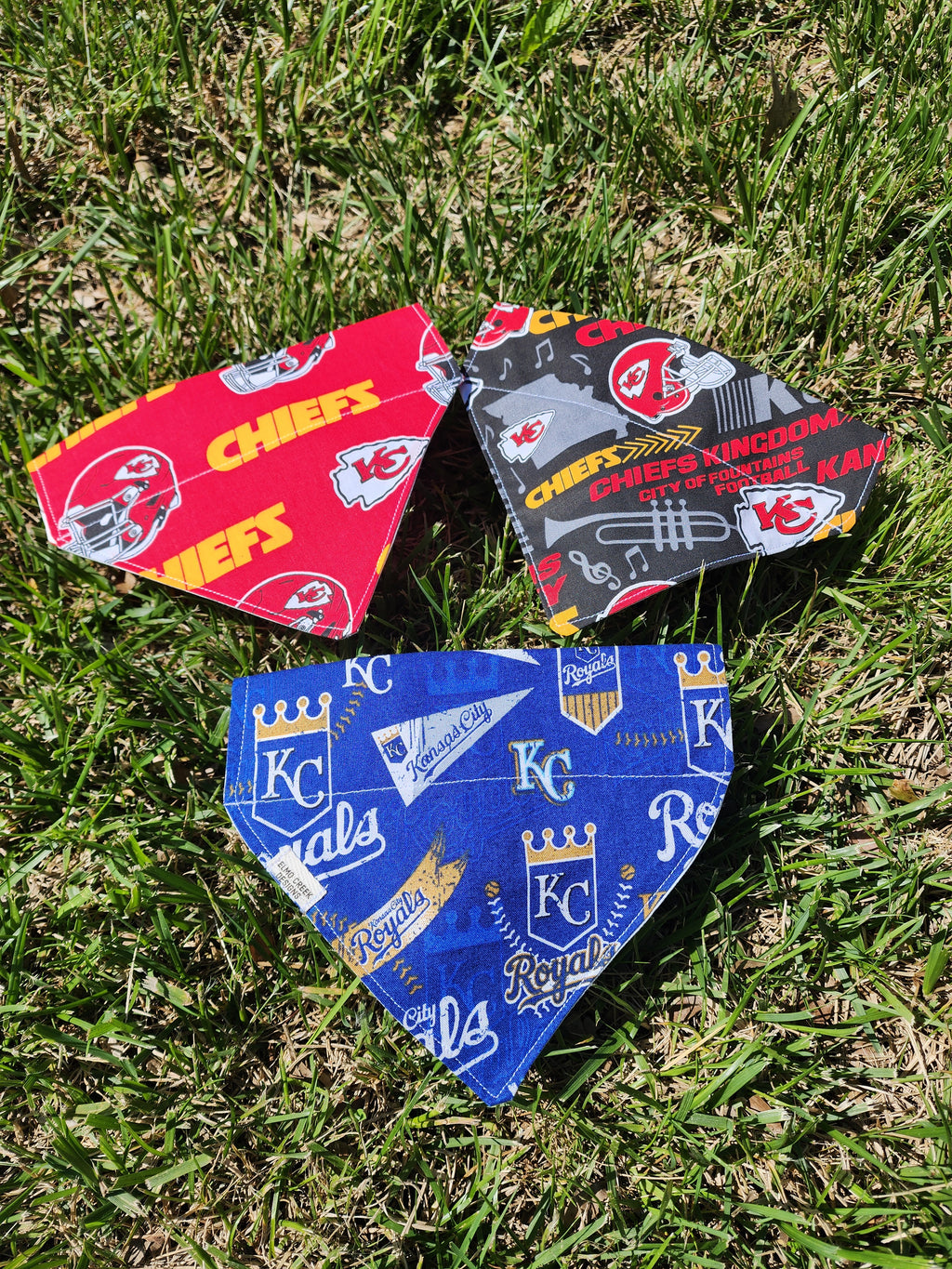 Team Pet Bandana