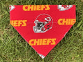 Team Pet Bandana