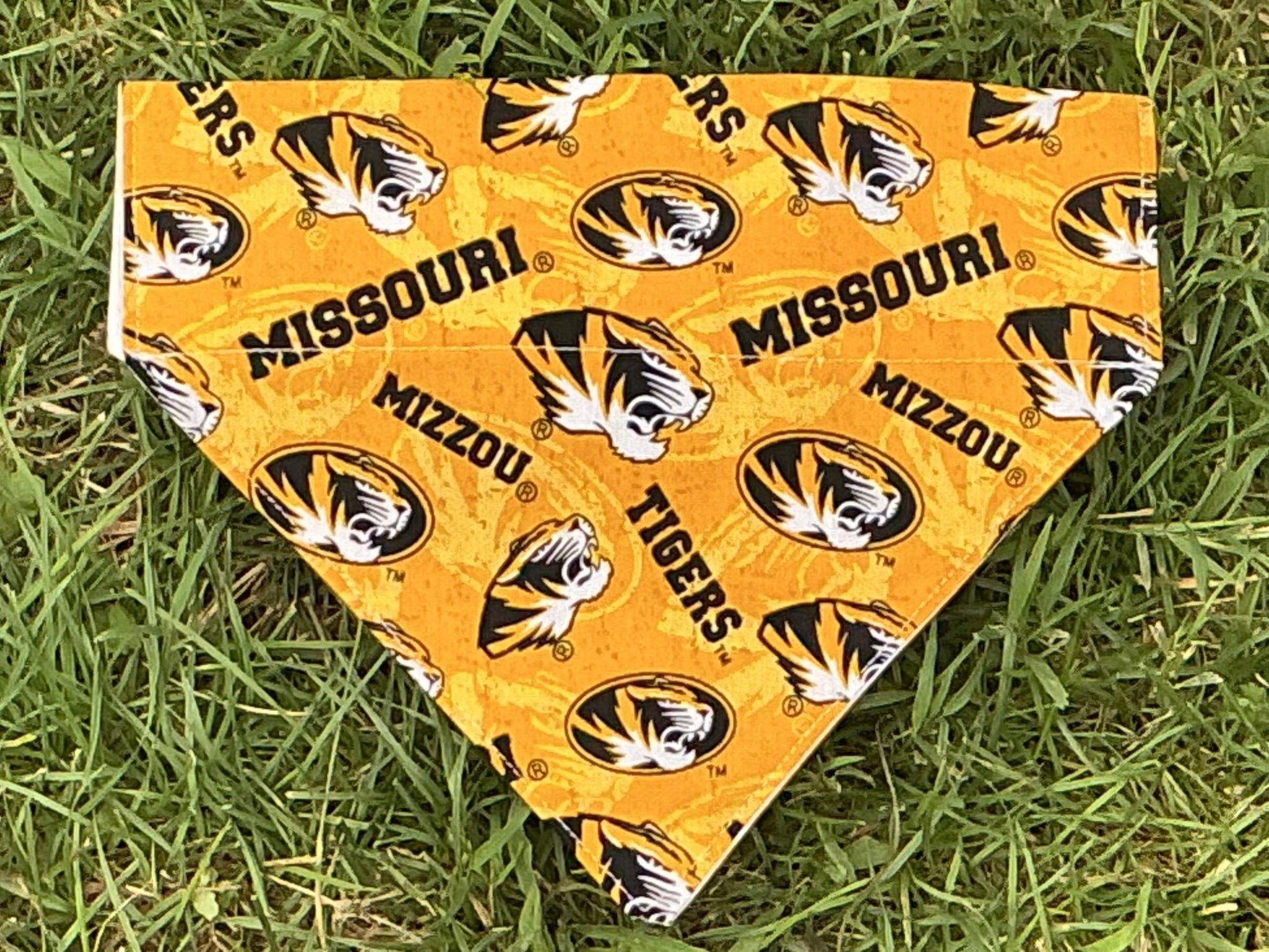 Team Pet Bandana