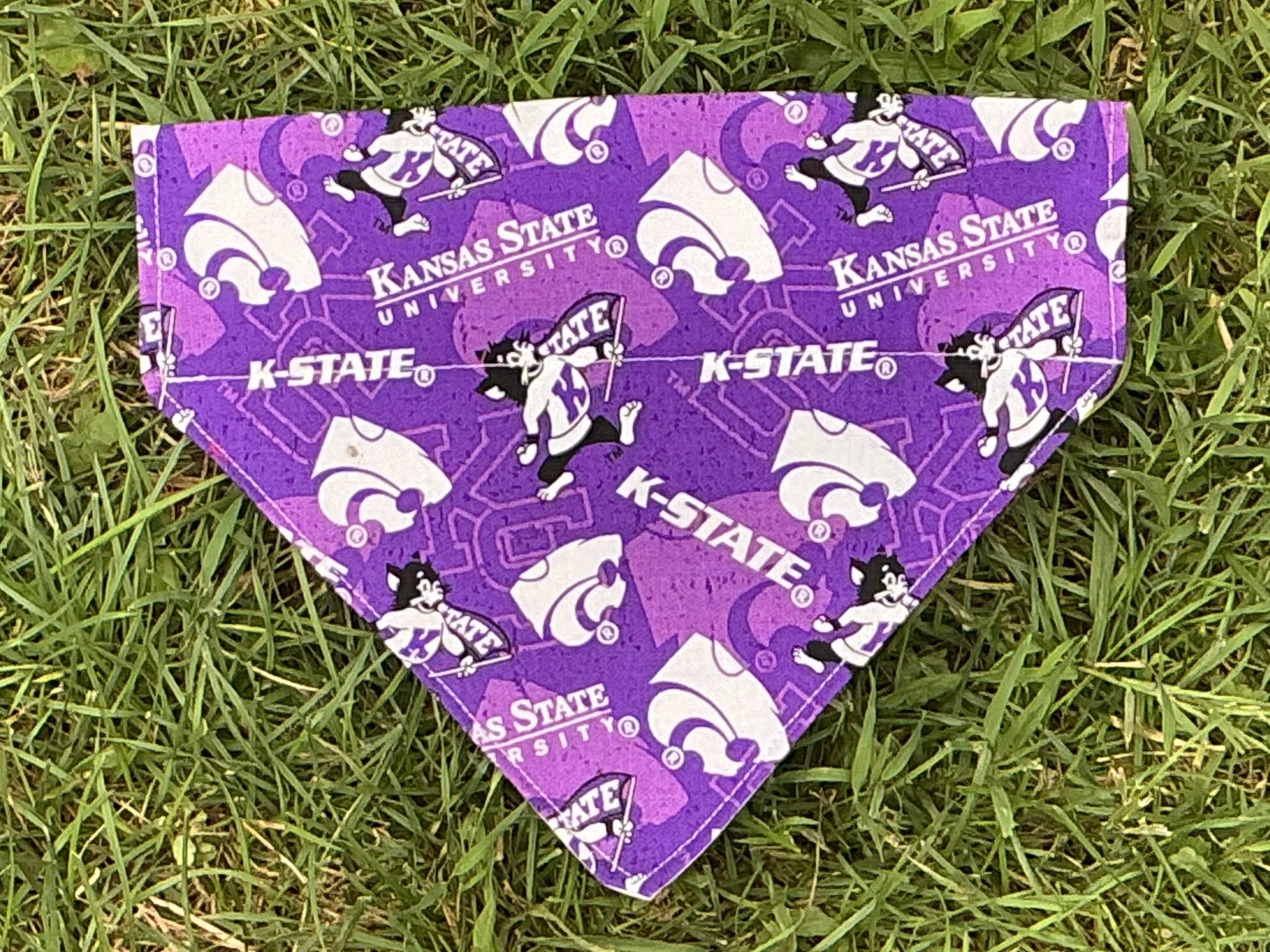 Team Pet Bandana